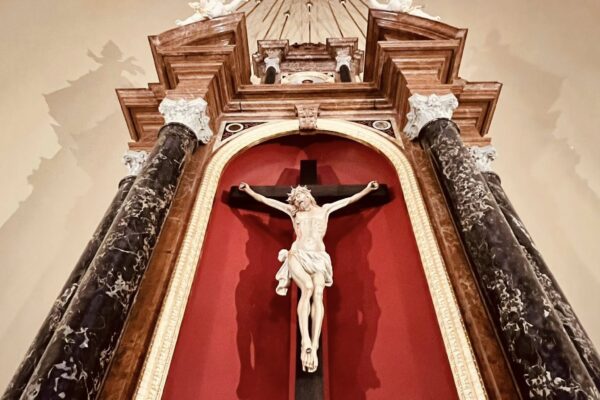 555555542_830157826324366_3003492377886401669_n